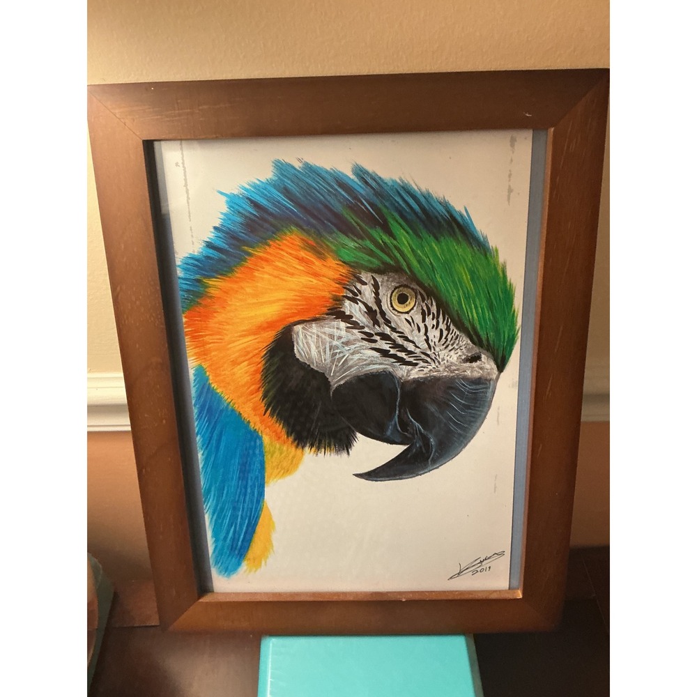 Signed 2019 Macaw Parrot Portrait Art on Kodak Film Framed 10x13 Tropical Bird - Picture 3 of 7